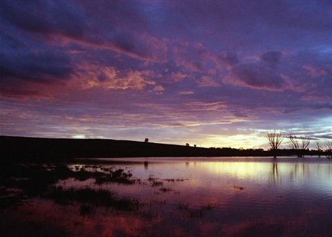 cairn_curran_2.jpg
