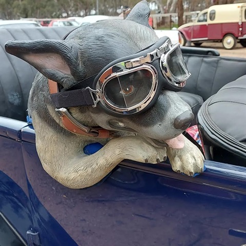 doggles.jpg