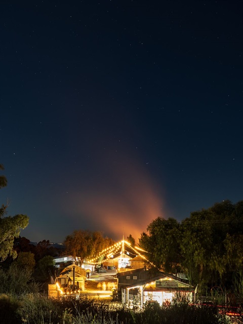 maldon winter solstice chasing the steam train-2 Joel Bramley Photography.jpg