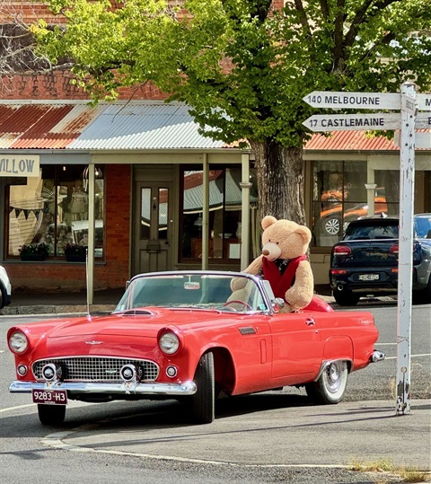 Teddy and car town.jpg
