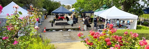 Traditional-Arts-Fair.jpg
